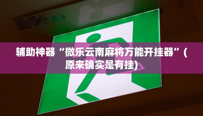 辅助神器“微乐云南麻将万能开挂器”(原来确实是有挂)