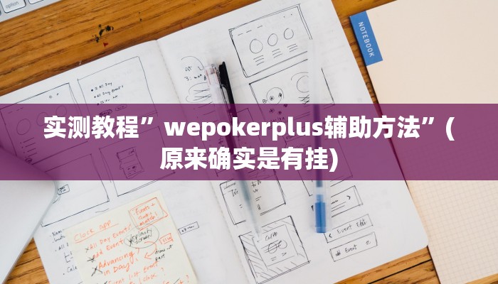 实测教程”wepokerplus辅助方法”(原来确实是有挂)