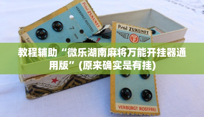 实测教程”九九山城麻将助赢神器”(原来确实是有挂)