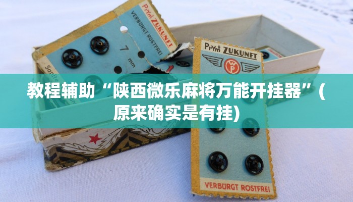 教程辅助“陕西微乐麻将万能开挂器”(原来确实是有挂)