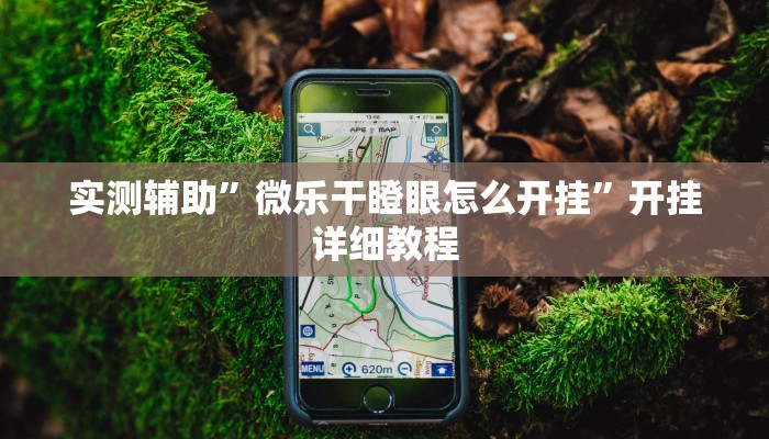 实测辅助”微乐干瞪眼怎么开挂”开挂详细教程