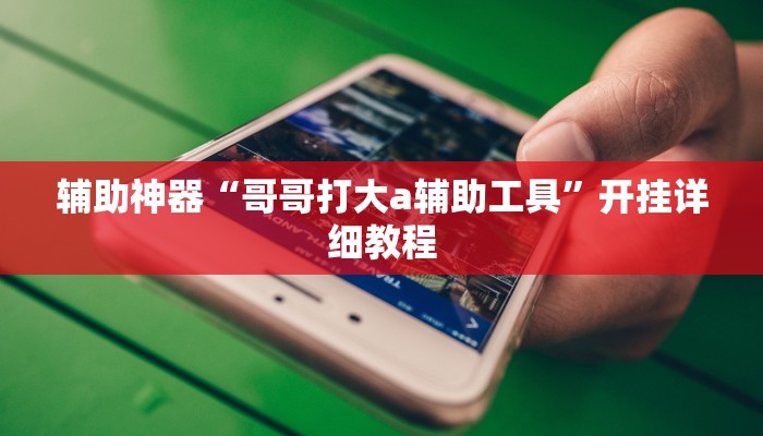 辅助神器“哥哥打大a辅助工具”开挂详细教程