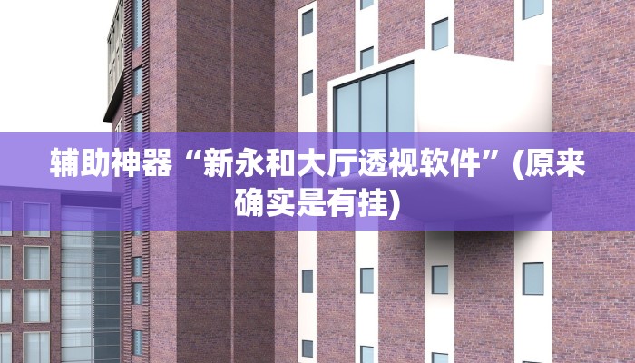 辅助神器“新永和大厅透视软件”(原来确实是有挂)