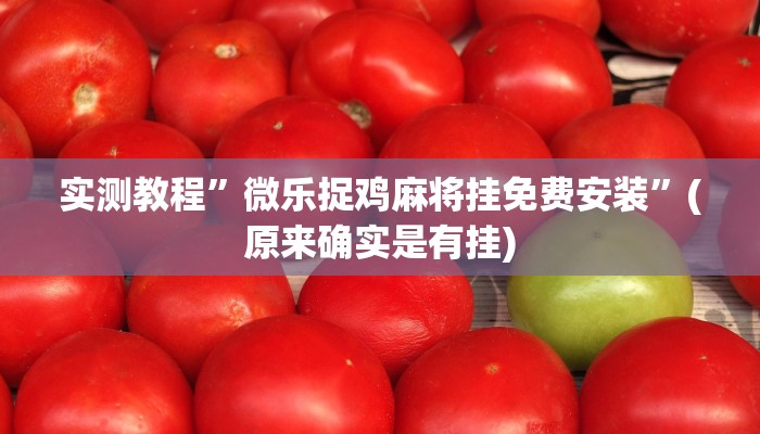 实测教程”微乐捉鸡麻将挂免费安装”(原来确实是有挂)