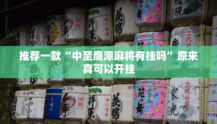 推荐一款“中至鹰潭麻将有挂吗”原来真可以开挂