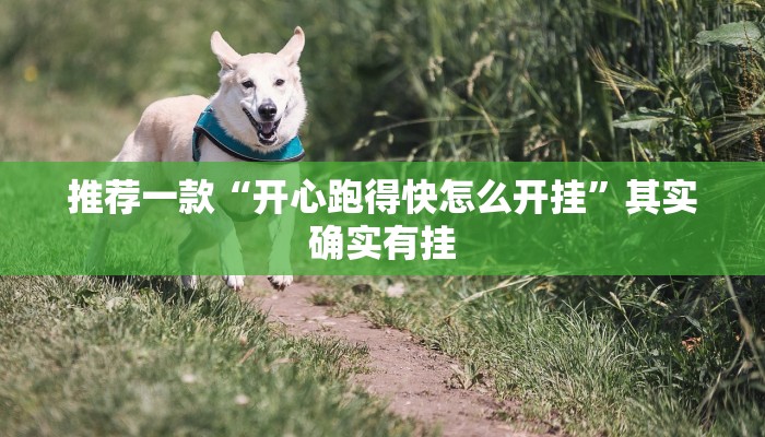 推荐一款“开心跑得快怎么开挂”其实确实有挂
