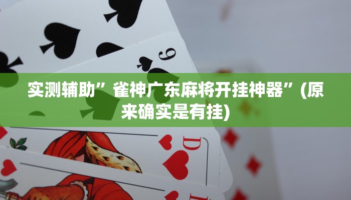 实测辅助”雀神广东麻将开挂神器”(原来确实是有挂)