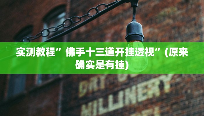 实测教程”佛手十三道开挂透视”(原来确实是有挂)