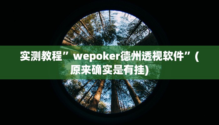实测教程”wepoker德州透视软件”(原来确实是有挂)