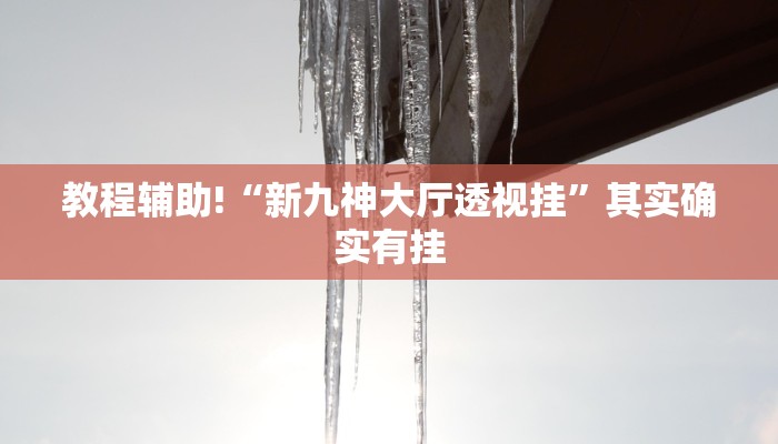 教程辅助!“新九神大厅透视挂”其实确实有挂