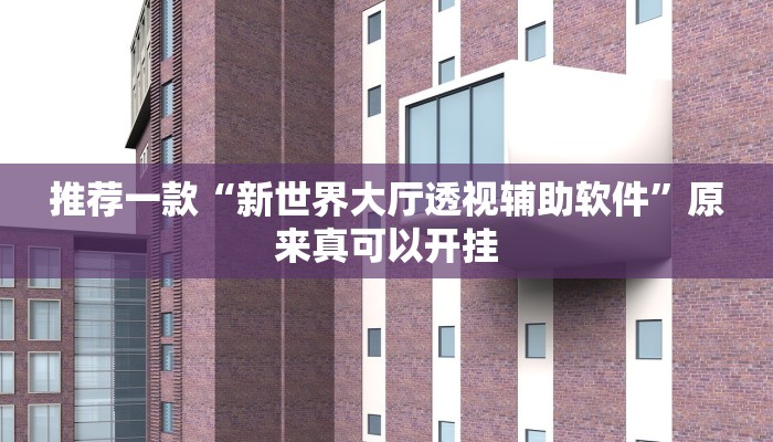 推荐一款“新世界大厅透视辅助软件”原来真可以开挂