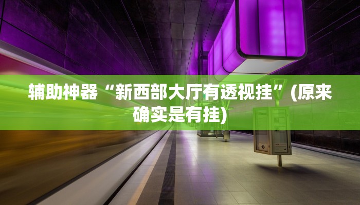 辅助神器“新西部大厅有透视挂”(原来确实是有挂)