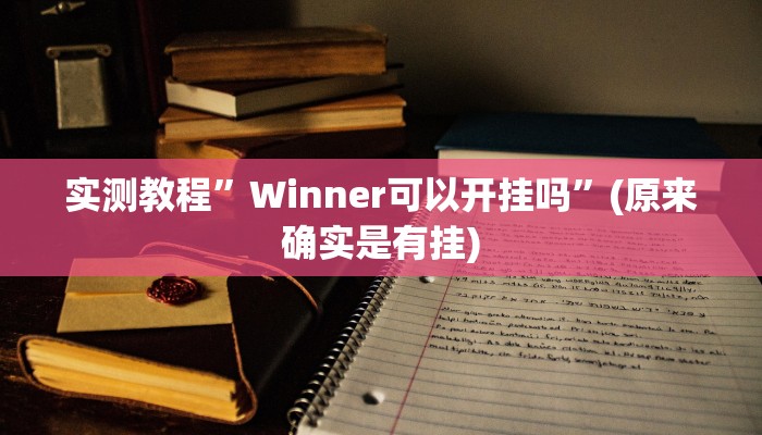 实测教程”Winner可以开挂吗”(原来确实是有挂)