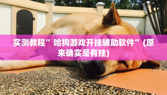 实测教程”哈狗游戏开挂辅助软件”(原来确实是有挂)