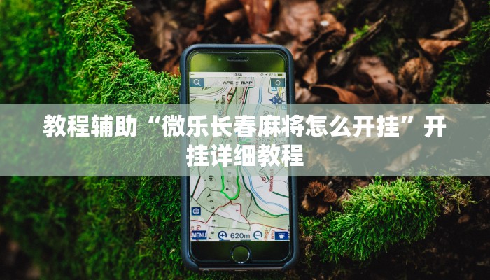 教程辅助“微乐长春麻将怎么开挂”开挂详细教程