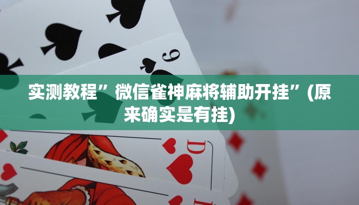 实测教程”微信雀神麻将辅助开挂”(原来确实是有挂)