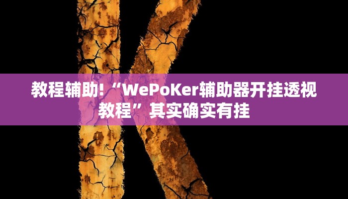 教程辅助!“WePoKer辅助器开挂透视教程”其实确实有挂