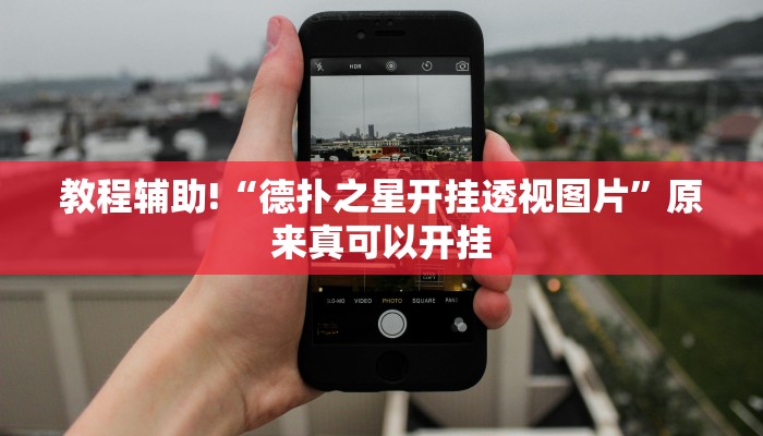 教程辅助!“德扑之星开挂透视图片”原来真可以开挂