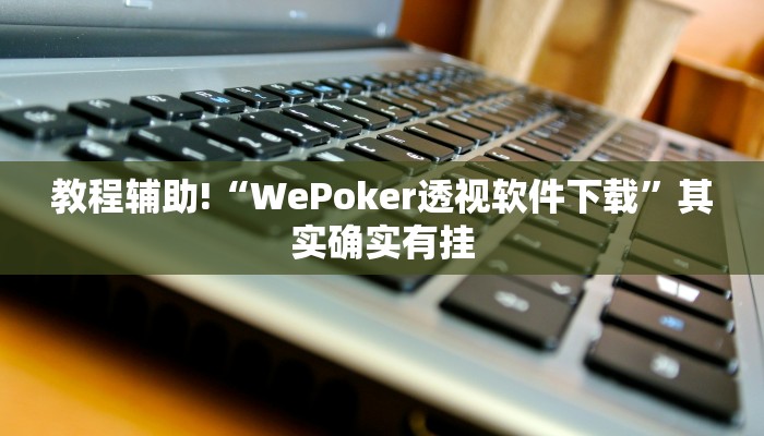 教程辅助!“WePoker透视软件下载”其实确实有挂
