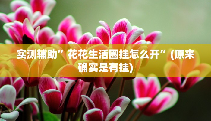 实测辅助”花花生活圈挂怎么开”(原来确实是有挂)