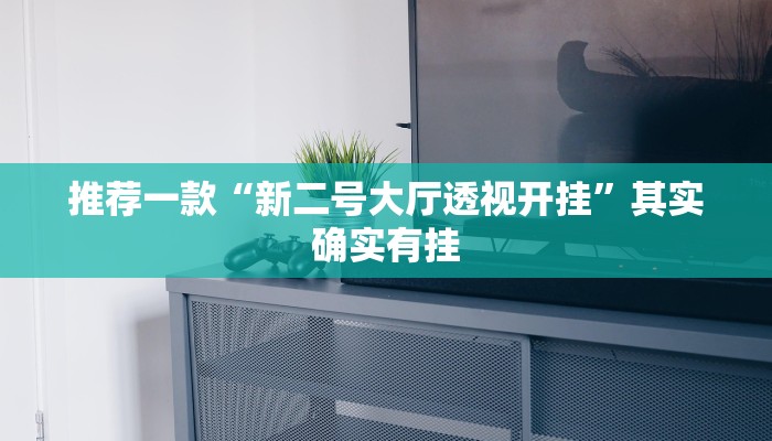 推荐一款“新二号大厅透视开挂”其实确实有挂