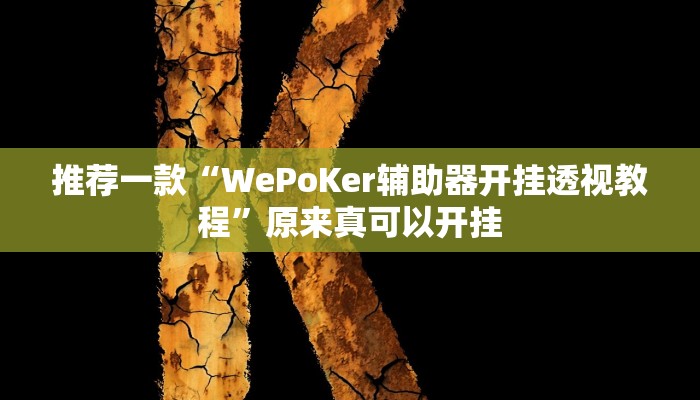 推荐一款“WePoKer辅助器开挂透视教程”原来真可以开挂