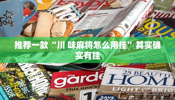 辅助神器“新鸿狐大厅透视挂”(原来确实是有挂)