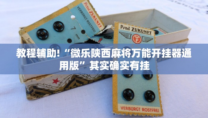 教程辅助!“微乐陕西麻将万能开挂器通用版”其实确实有挂