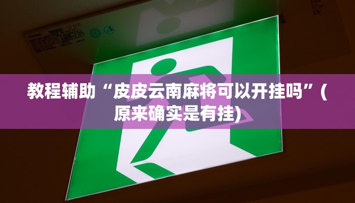 教程辅助“皮皮云南麻将可以开挂吗”(原来确实是有挂)
