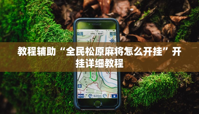 教程辅助!“琼瑶互娱怎么开挂”原来真可以开挂
