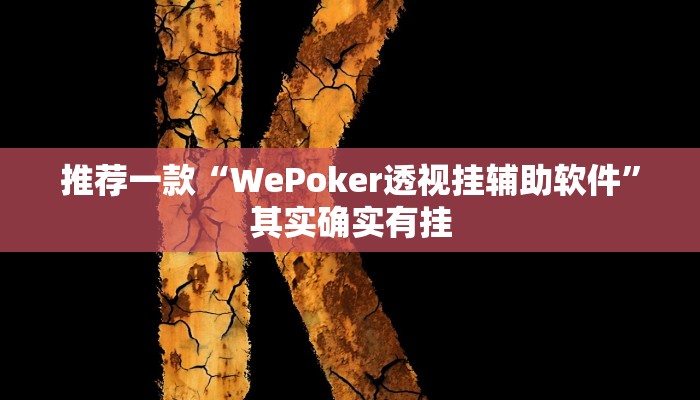 推荐一款“WePoker透视挂辅助软件”其实确实有挂