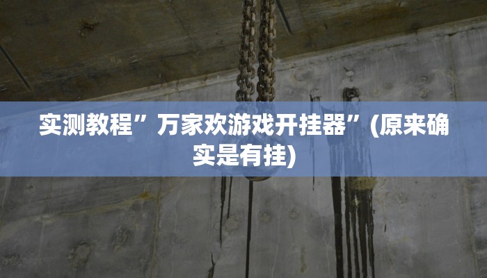 实测教程”wepoker万能助赢神器”(原来确实是有挂)