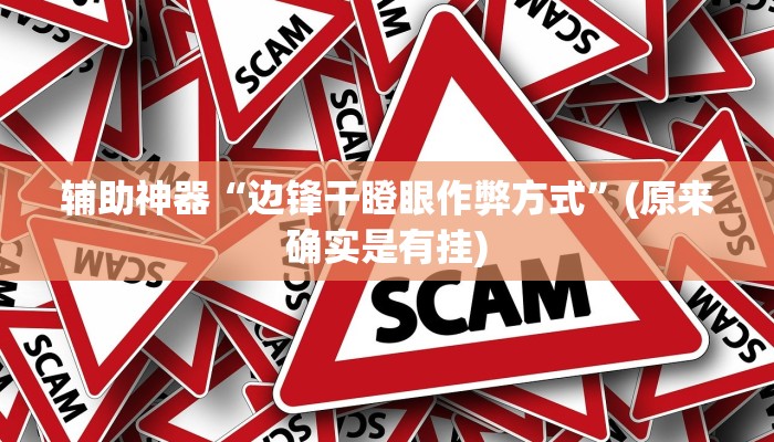辅助神器“边锋干瞪眼作弊方式”(原来确实是有挂)