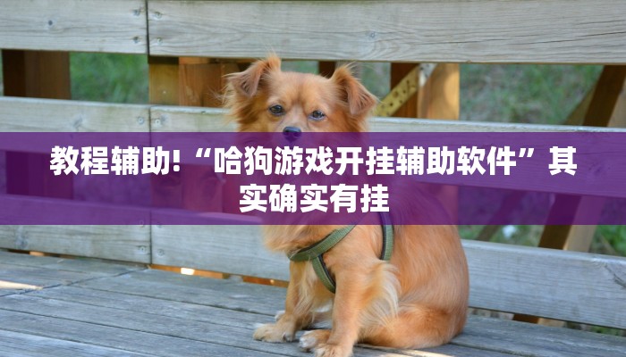 实测辅助”九尾大厅真的能开挂”原来真可以开挂