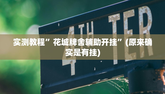 实测教程”花城牌舍辅助开挂”(原来确实是有挂)