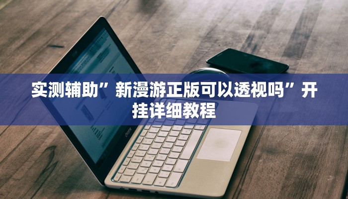 实测辅助”新漫游正版可以透视吗”开挂详细教程