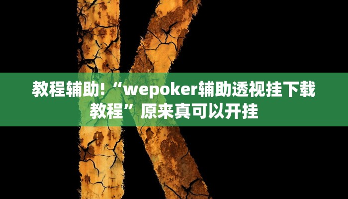 教程辅助!“wepoker辅助透视挂下载教程”原来真可以开挂