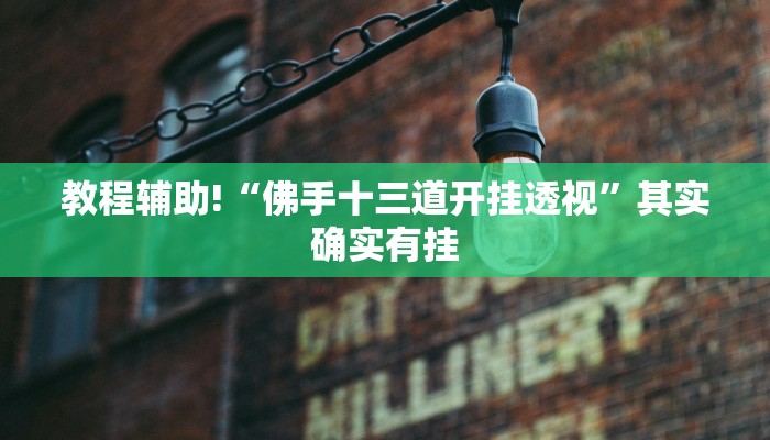 教程辅助!“佛手十三道开挂透视”其实确实有挂