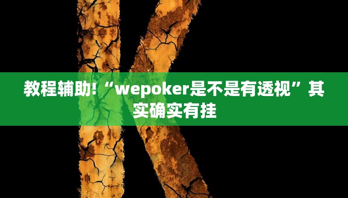教程辅助!“wepoker是不是有透视”其实确实有挂