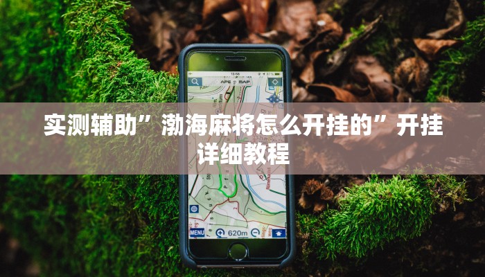 实测辅助”渤海麻将怎么开挂的”开挂详细教程
