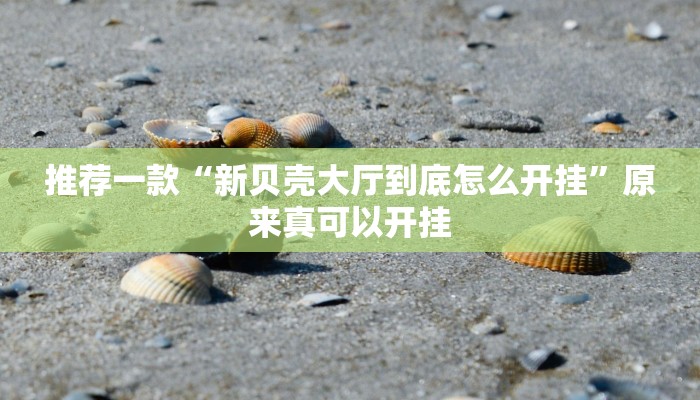 推荐一款“新贝壳大厅到底怎么开挂”原来真可以开挂