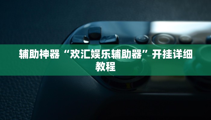 辅助神器“欢汇娱乐辅助器”开挂详细教程