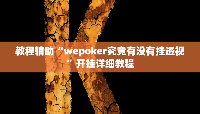 教程辅助“wepoker究竟有没有挂透视”开挂详细教程