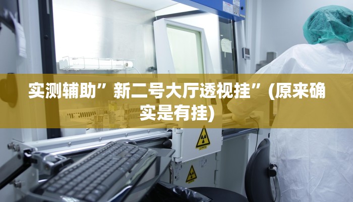 实测辅助”新二号大厅透视挂”(原来确实是有挂)