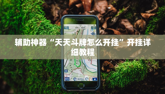 辅助神器“天天斗牌怎么开挂”开挂详细教程