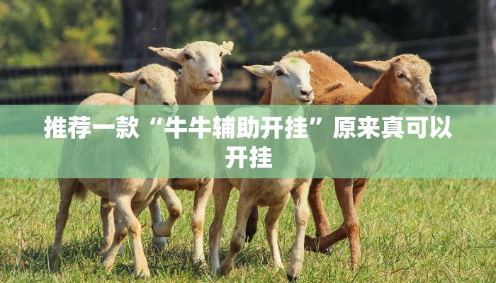 推荐一款“牛牛辅助开挂”原来真可以开挂