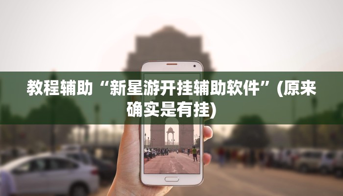 教程辅助“新星游开挂辅助软件”(原来确实是有挂)