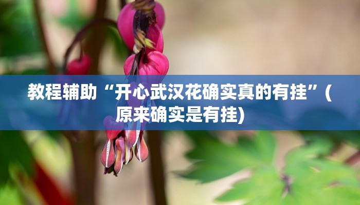 教程辅助“开心武汉花确实真的有挂”(原来确实是有挂)