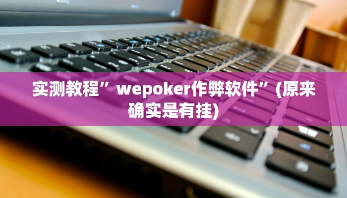 实测教程”wepoker作弊软件”(原来确实是有挂)