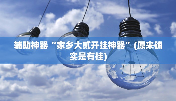 辅助神器“家乡大贰开挂神器”(原来确实是有挂)